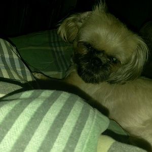 Meet your Posher, Layla